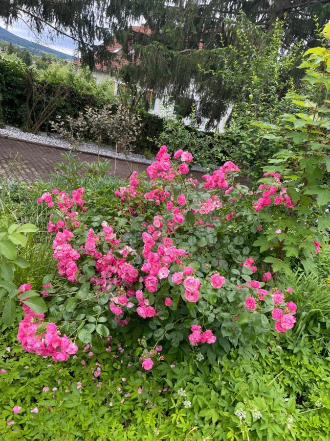 Freiblick 1 Bad Glbg Mit Garten Top1 Bad Gleichenberg Kültér fotó